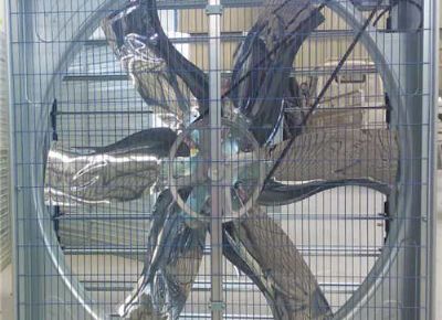 點擊查看詳細信息<br>標題：Push Pull Negative Pressure Fan 閱讀次數(shù)：1425